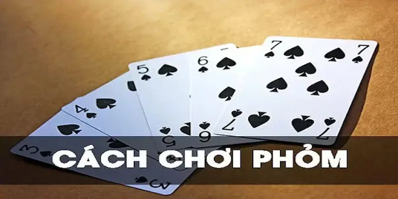 Cách chơi cơ bản trong đánh phỏm online