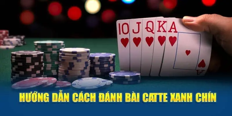Cách chia bài và luật chơi cơ bản trong game bài Catte