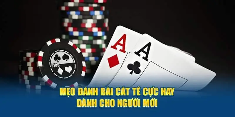 Mẹo giữ bài mạnh và chiến thuật đánh Catte hiệu quả từ cao thủ