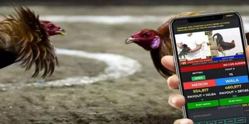 Giao diện xem đá gà Campuchia trực tuyến chất lượng HD trên điện thoại