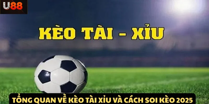 Tổng quan về Kèo Tài Xỉu và cách soi kèo 2025
